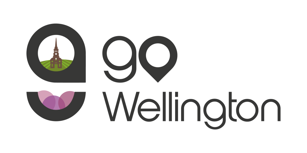 Cape Winelands wine and landscape